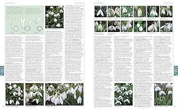 A-Z Encyclopedia Of Garden Plants: A-Z ENCYCLOPEDIA OF